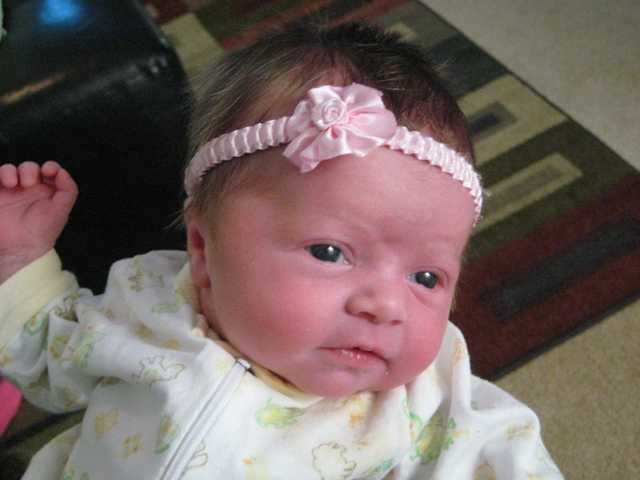 Erilynn Shepley