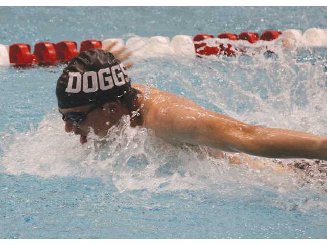 Cats and Doggs hit the pool well at Saturday's state finals Cats and Doggs hit the pool well at Saturday's state finals