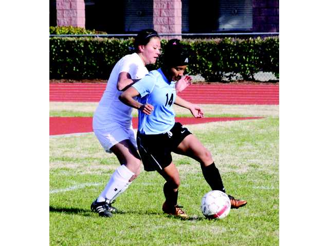 Lady Soccer Doggs fall to Johnson Knights Lady Soccer Doggs fall to Johnson Knights