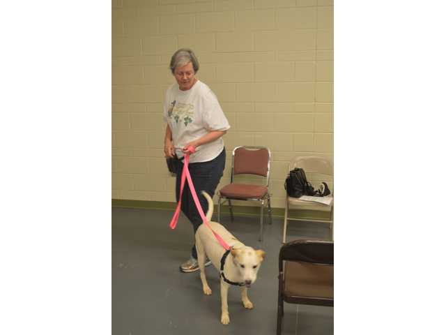 Barrow animal control implements changes, improvements Barrow animal control implements changes, improvements