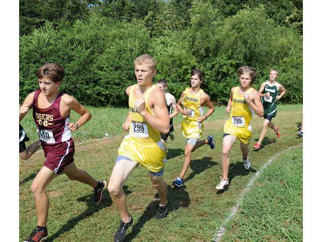 Local high schools run at NEGA Championships