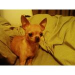 View ZQ24's Profile