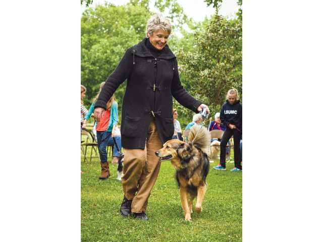 From lost in the Bahamas to blue ribbon winner: meet Barney