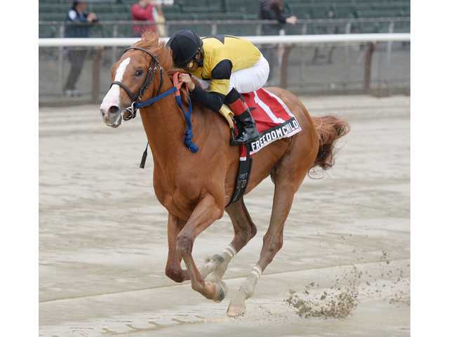 Kirkwood grad Freedom Child flies to win in Peter Pan