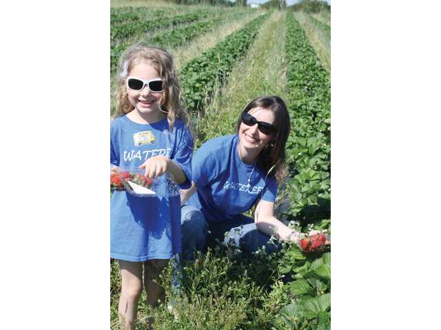 Fun at the farm