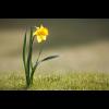 View ButterCup24's Profile