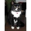 View LibertyHumaneShelter's Profile