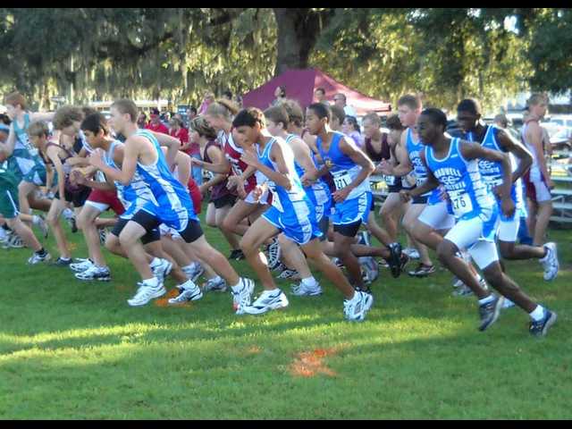 Bradwell Tiger runners trekking toward wins
