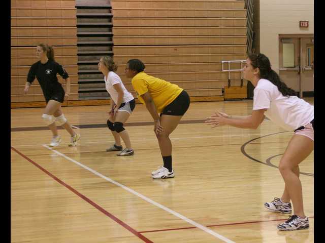 New volleyball coach has a familiar face
