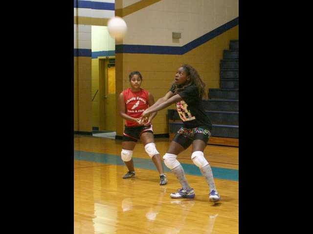 Lady Tigers prep young volleyball squad