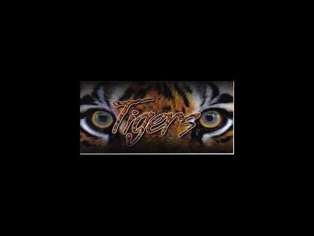 Tiger Glynn Preview