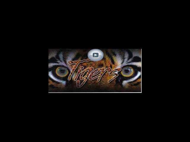 Boy Tiger / Coffee County highlight