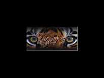 Tiger homecoming highlights part II