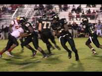 Panther vs. Bucs highlights