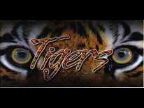 Tiger vs. Savannah preview
