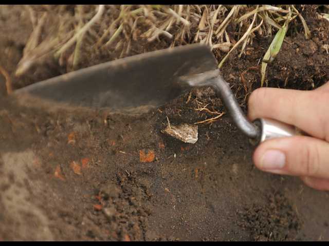 Digging up the past