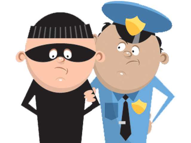 Connect Crime: Hairy situation