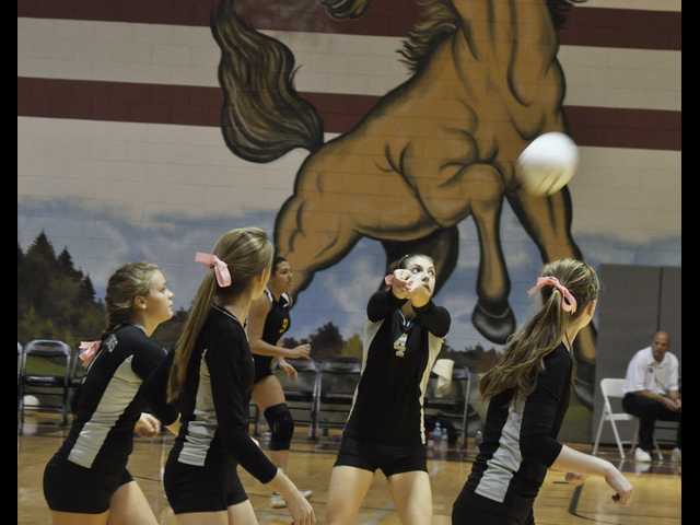 Lady Mustangs battle way into state tourney