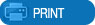 Print Article