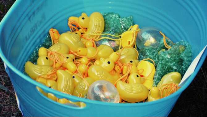 Pirate ducks at Rubber Ducky Race