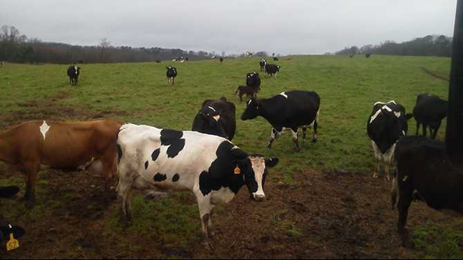 Tax exemption helps ag producers save money