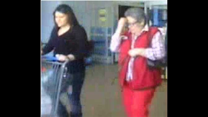 Police search for purse thief