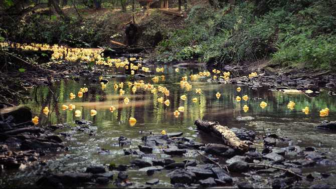 Rubber Ducky race returns June 20