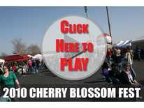 A taste of the Cherry Blossom Festival