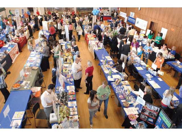 Wellness fair draws a crowd