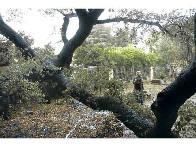 Evacuees begin to return to mud-ridden homes