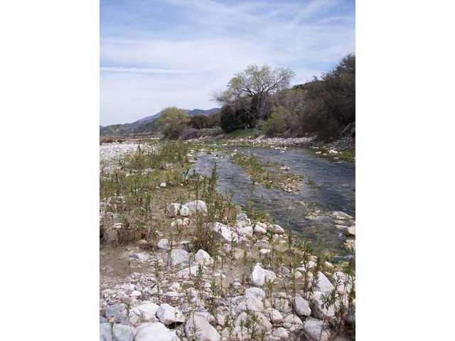 Valentine’s dating on a budget in the SCV