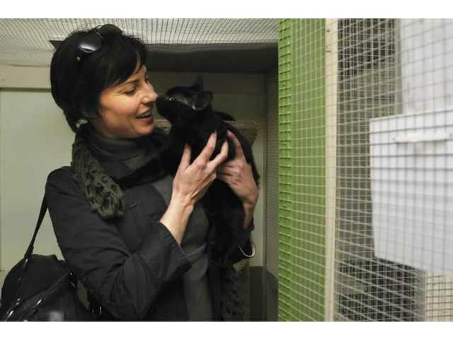 Abused Animals Find Healing Homes
