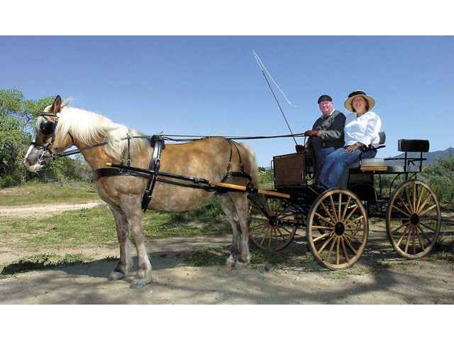Finding their groove on a country road
