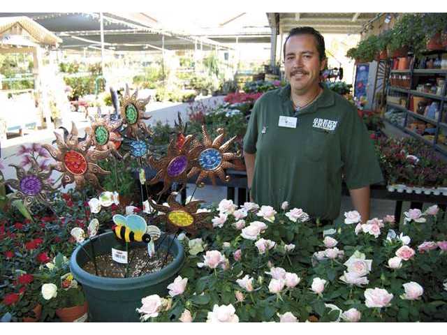 Spring gardening tips