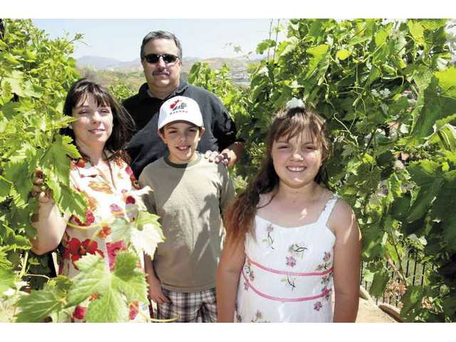 The accidental vintners