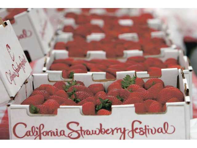 Sweet music: Strawberry Festival in Oxnard; Topanga Banjo, Fiddle Contest & Folk Festival in Agoura