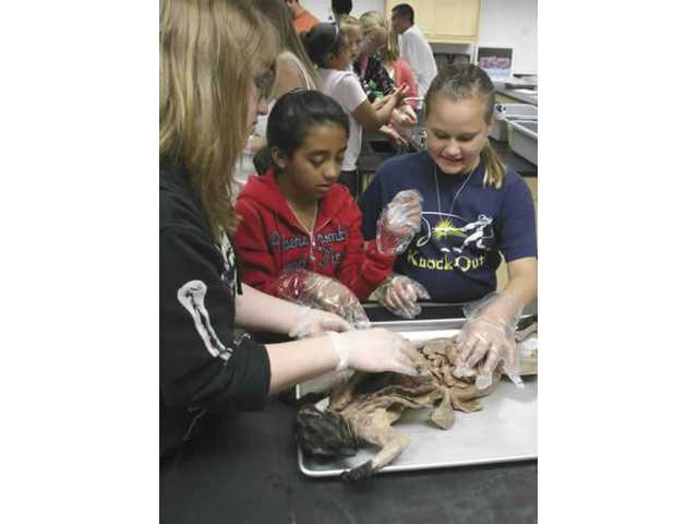 Making science ‘cool'