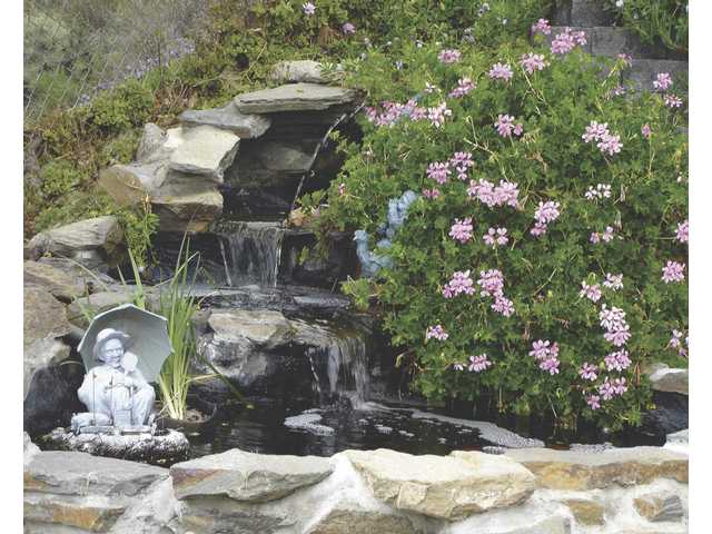 Go fish...on fourth annual Koi & Water Garden Tour