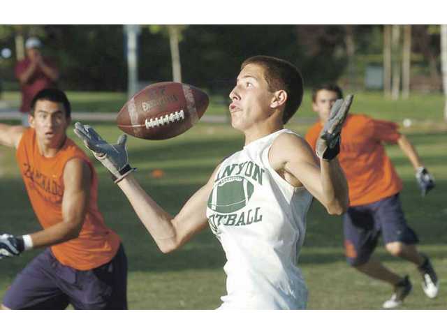 Vikings, Cowboys reach semifinals
