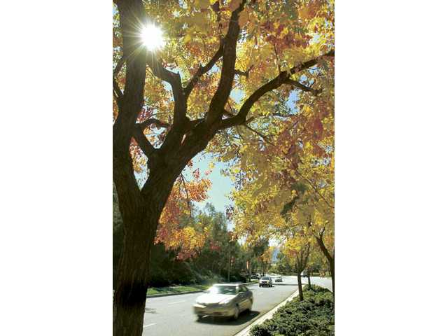 Seasons changing