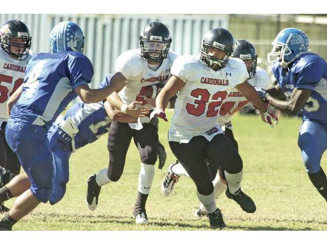 Cardinals unleash first-half fury