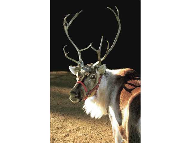 Holiday happenings in the SCV and out