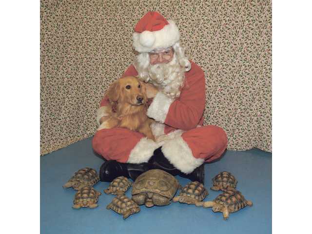 Pet photos with Santa today help needy animals year-round