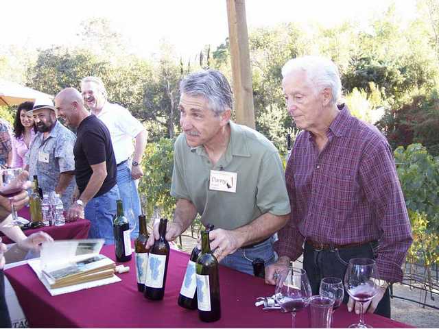 'Sunset in the Vineyard'