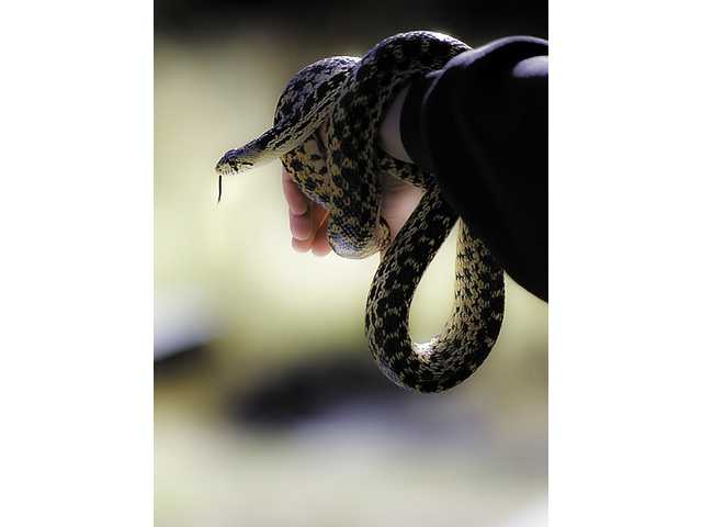 Nature Center presents animal show
