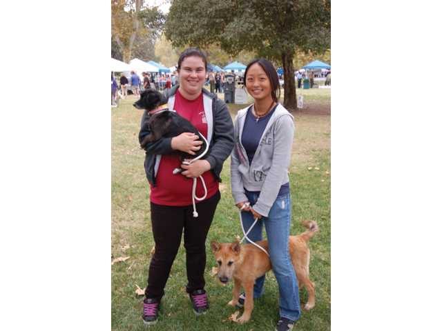 Furry fun at Bow-Wows & Meows 