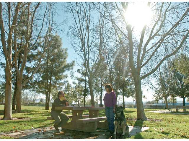 SCV gets a feel for the sun