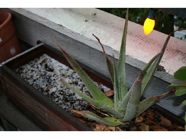 UPDATED: Santa Clarita Valley gets a taste of snow
