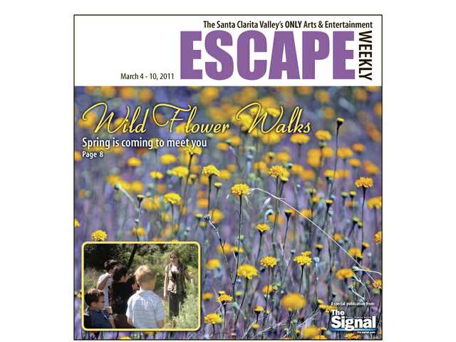 Wildflower walks