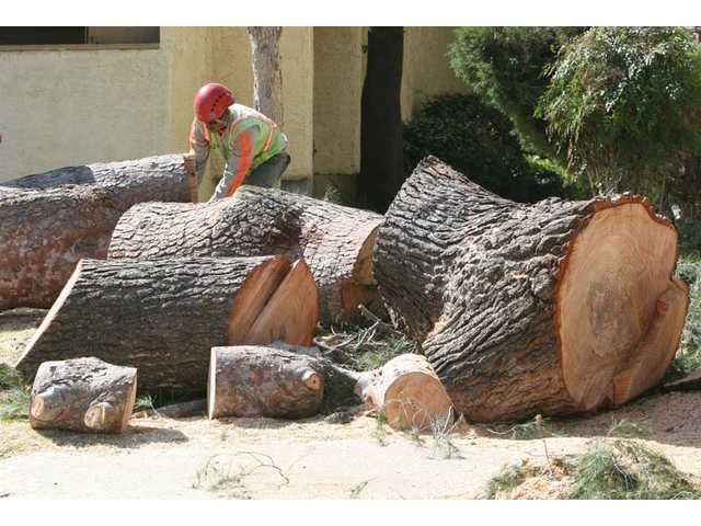UPDATED: Outage strikes Canyon Country